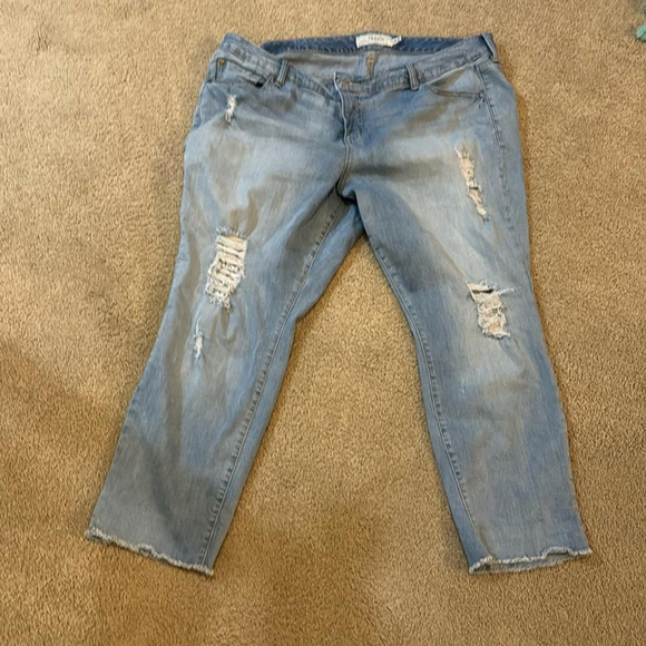 Torrid Denim - Torrid size 20